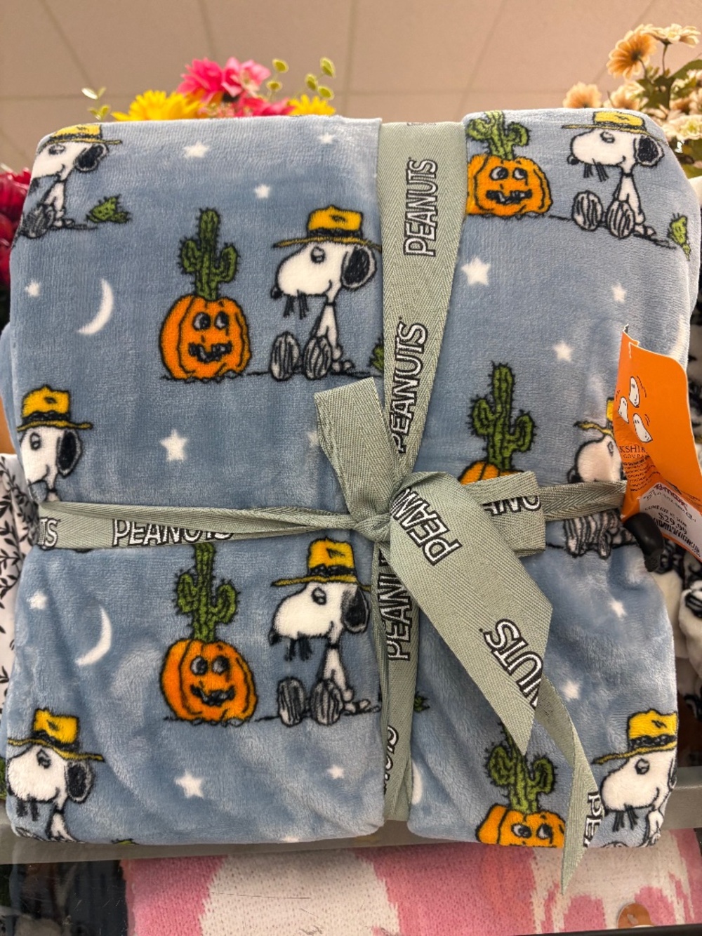 Viral Berkshire KING Peanuts Snoopy Halloween Blanket Cactus